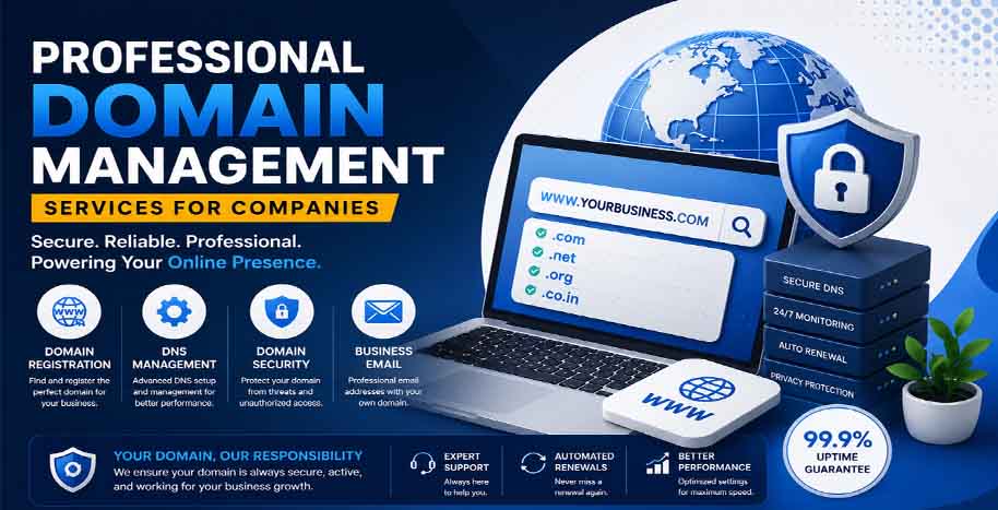 Professional Domain Registration and Website Management Services